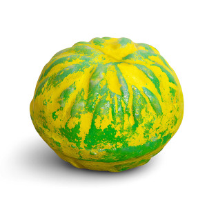 Kids Terracotta Money Bank – Handcrafted Clay Piggy Bank in Yellow & Green Finish