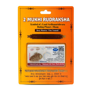 Moon-Energized Rudraksha Bead