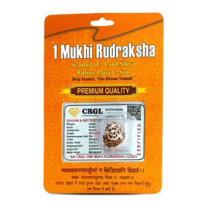 Divine Surya Rudraksha
