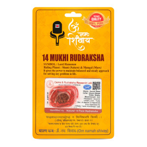 Hanuman Protection Rudraksha