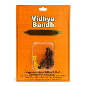 Vidhya Bandh Rudraksha Kit