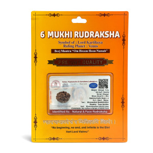 Six Face Divine Rudraksha
