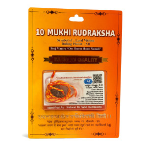 Ten Face Vishnu Rudraksha
