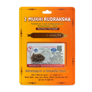 Mukhi Rudraksha