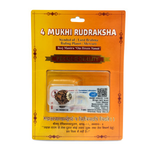 Mukhi Rudraksha
