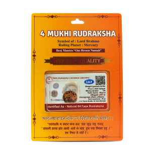 Mukhi Rudraksha