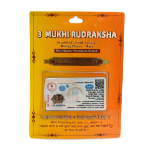 Mukhi Rudraksha