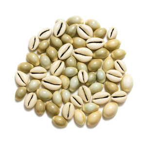 Natural Pili Kodi (Ashta Chammalu) – Sacred Cowrie Shells for Wealth, Puja & Vastu