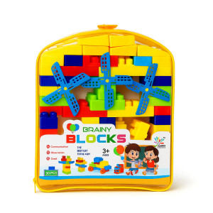 Brainy Blocks Windmill Set