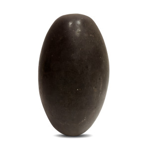 Narmada Banalinga Stone