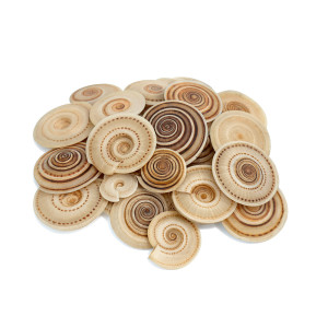 Spiral Chakra Shells